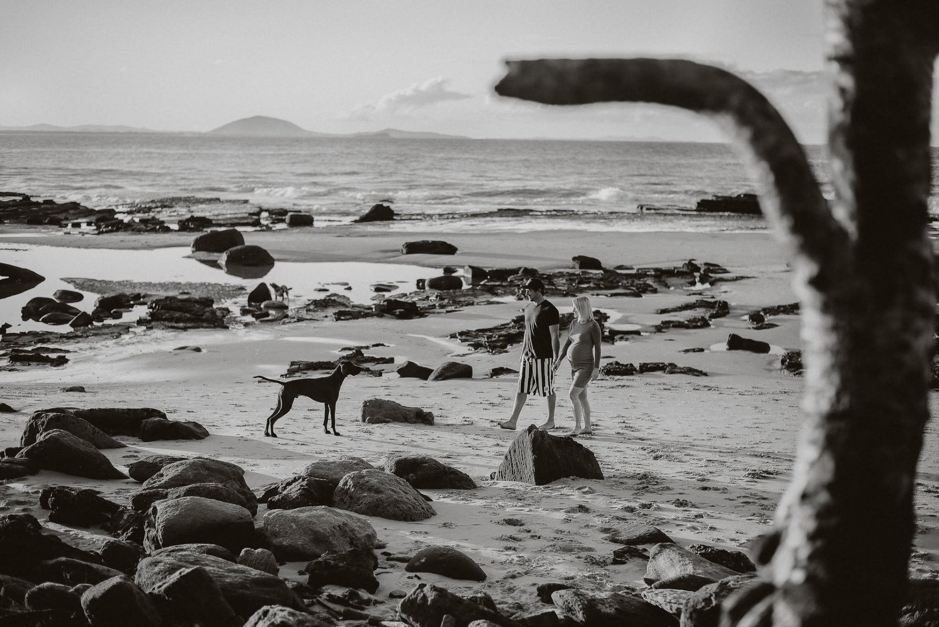 Expecting couple walking the beach with their dog